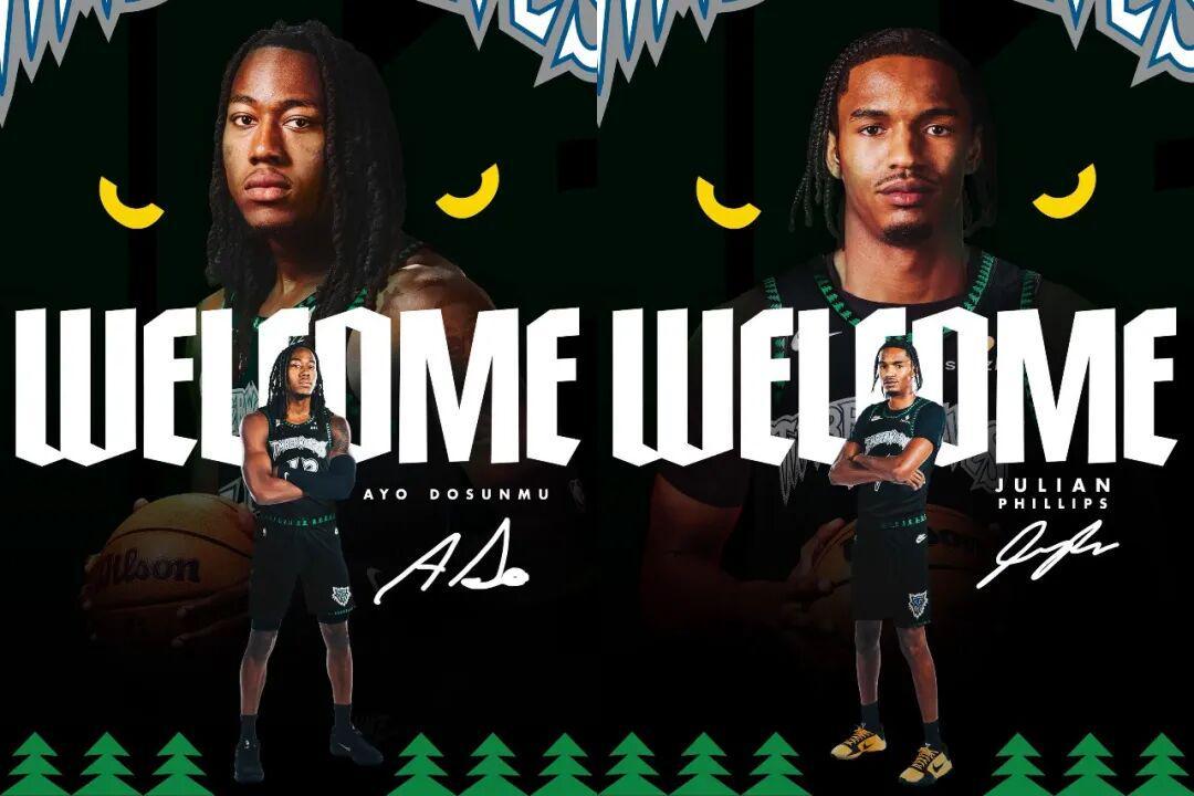 2换6交易！多森姆的加盟，森林狼赚了亏了？